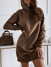 Long Sleeve Hooded Sweatshirt Dress