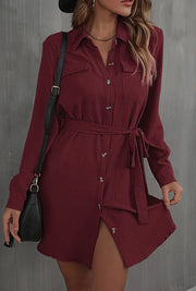 Button Down Dandy Shirt Dress