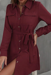 Button Down Dandy Shirt Dress