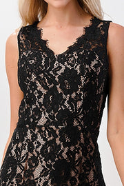 Mini Lace Dress Two Tone Lace V-Neck Dress