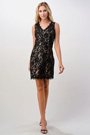 Mini Lace Dress Two Tone Lace V-Neck Dress