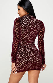 Velvet Burnout Mini Dress