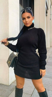 Black Rib Knit Roll Neck Jumper Dress