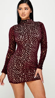 Velvet Burnout Mini Dress